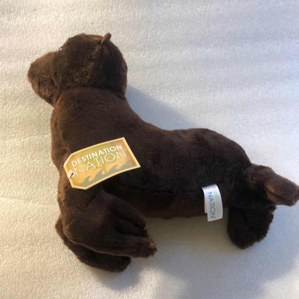 Destination Nation Sea Lion